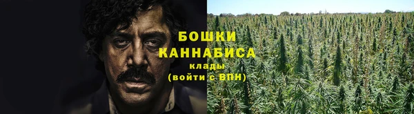 прущая мука Богданович