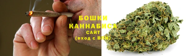 прущая мука Богданович