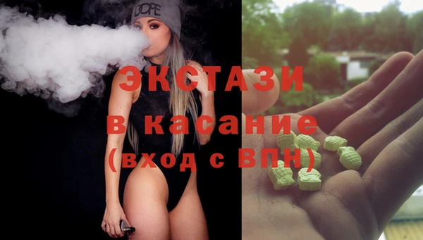 ECSTASY Богородицк