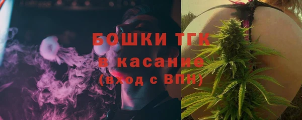 ECSTASY Богородицк