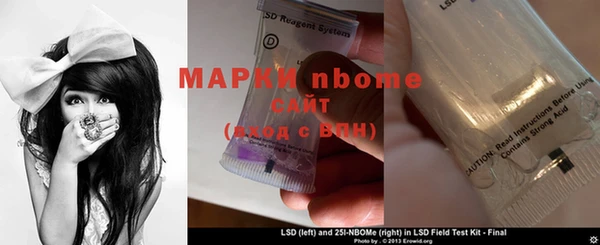 ECSTASY Богородицк