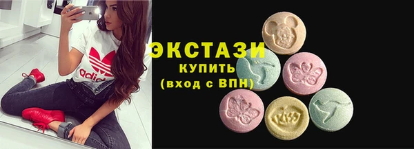 ECSTASY Богородицк