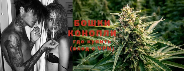 ECSTASY Богородицк