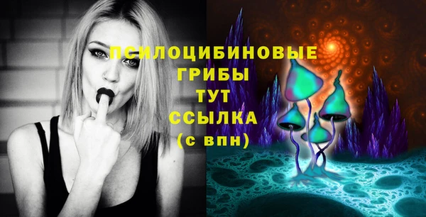 ECSTASY Богородицк