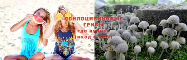 стафф Богородск