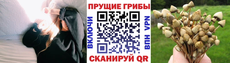 Галлюциногенные грибы прущие грибы  Купить где  Верхняя Салда 